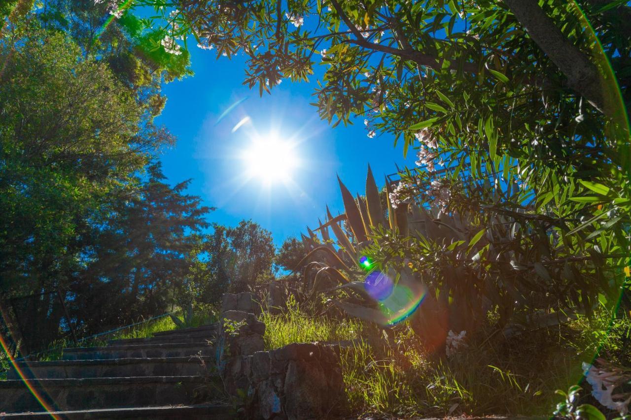 Giardino Sul Mare House - Levanto Sea View Экстерьер фото